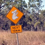 Koala next 10km sign Ostrzezenie Koala