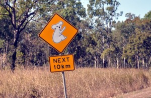 Koala next 10km sign