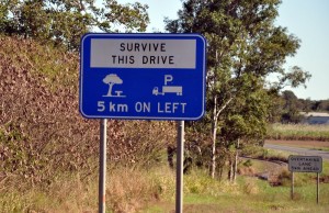 Survive this drive sign